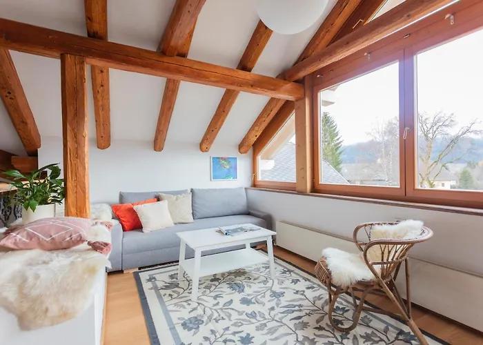 Ledererhaus Daire