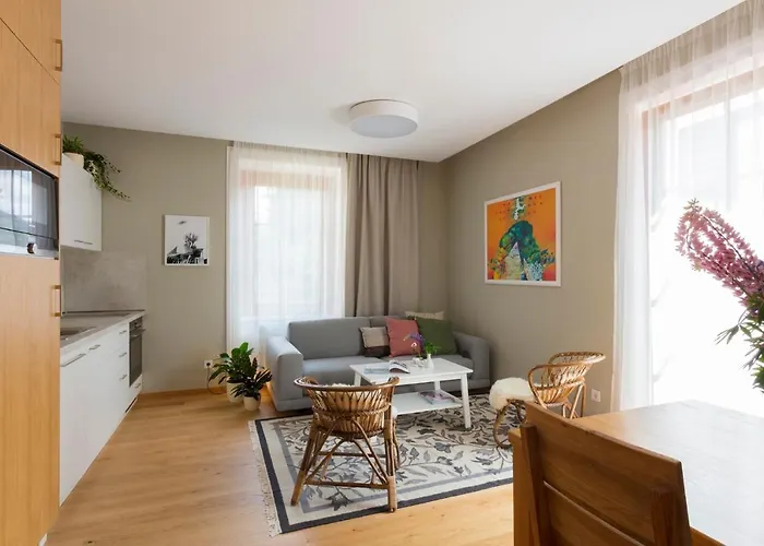 Ledererhaus Apartman