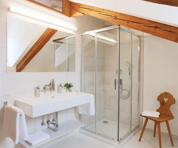 Ledererhaus Daire *